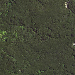 Satellite imagery of L TE KOHE, NZ