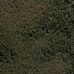 Satellite imagery of survey_point, AU