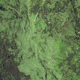 Satellite imagery of 6291, NZ