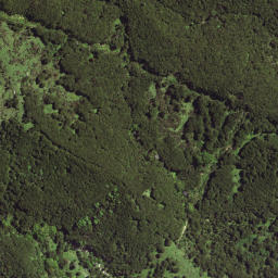 Satellite imagery of L TE KOHE, NZ