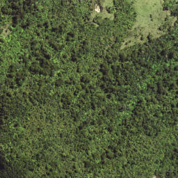 Satellite imagery of PUKEKAKA NO 2, NZ