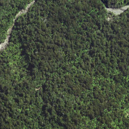 Satellite imagery of 6292, NZ