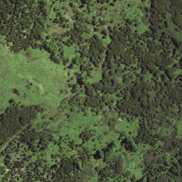 Satellite imagery of 6371, NZ