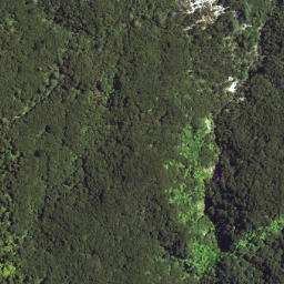 Satellite imagery of 6371, NZ