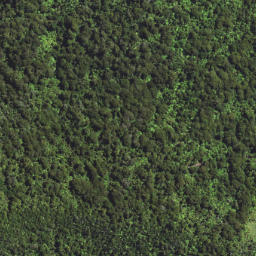 Satellite imagery of 6292, NZ