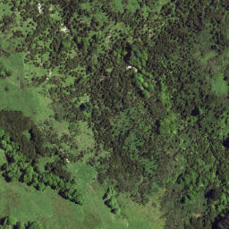 Satellite imagery of 6371, NZ