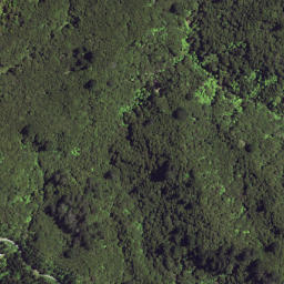 Satellite imagery of 6371, NZ