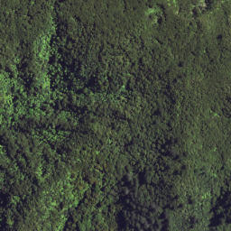 Satellite imagery of S45 NGATOHUAHIRA, NZ