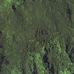 Satellite imagery of S45 NGATOHUAHIRA, NZ