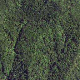 Satellite imagery of S45 NGATOHUAHIRA, NZ