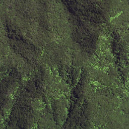 Satellite imagery of Waikori Bluff, NZ