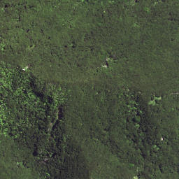 Satellite imagery of Waikori Bluff, NZ