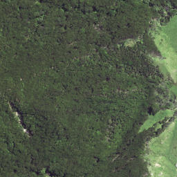 Satellite imagery of Waikori Bluff, NZ