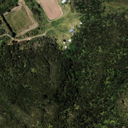 Satellite imagery of 6195, NZ