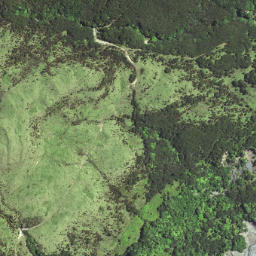 Satellite imagery of 6292, NZ