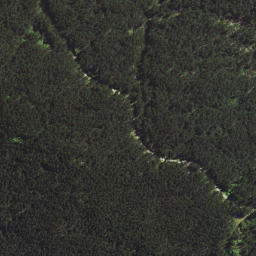 Satellite imagery of 6294, NZ