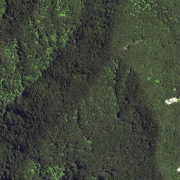 Satellite imagery of Waikori Bluff, NZ