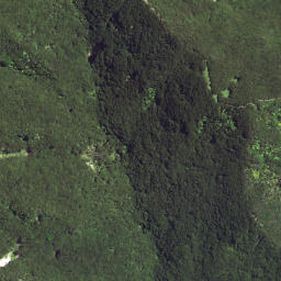 Satellite imagery of Waikori Bluff, NZ