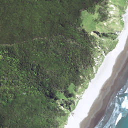 Satellite imagery of Waikori Bluff, NZ