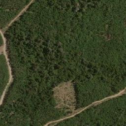 Satellite imagery of Puertas de Palo Botado, CL