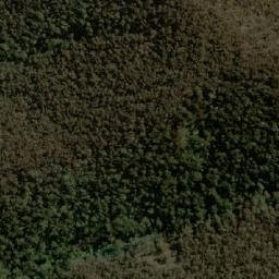Satellite imagery of Golden Lily, AU