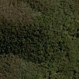 Satellite imagery of Golden Lily, AU