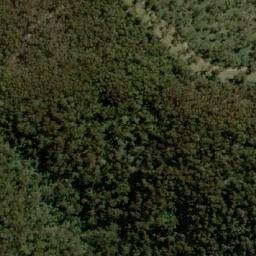 Satellite imagery of Golden Lily, AU