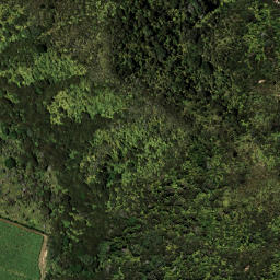Satellite imagery of 6195, NZ