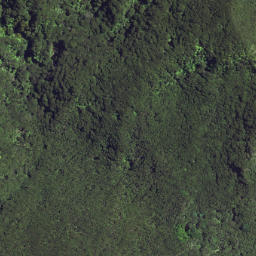 Satellite imagery of Waikori Bluff, NZ