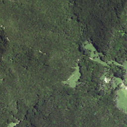Satellite imagery of Waikori Bluff, NZ