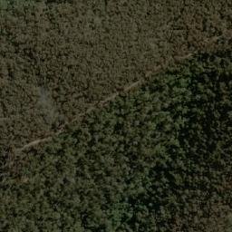 Satellite imagery of Golden Lily, AU