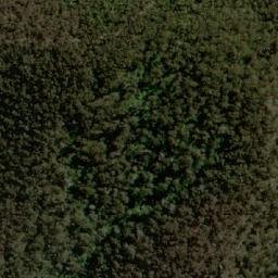 Satellite imagery of Golden Lily, AU