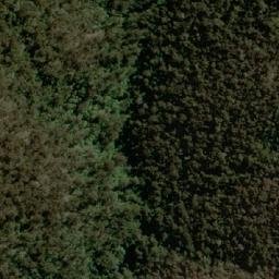 Satellite imagery of Golden Lily, AU
