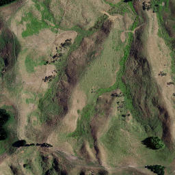 Satellite imagery of KOTUKU, NZ