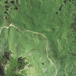 Satellite imagery of A NO 2, NZ