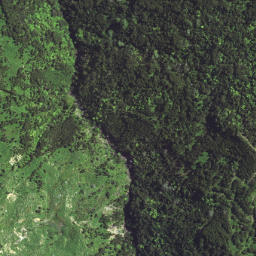 Satellite imagery of A NO 2, NZ