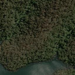 Satellite imagery of Golden Lily, AU