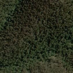 Satellite imagery of Golden Lily, AU