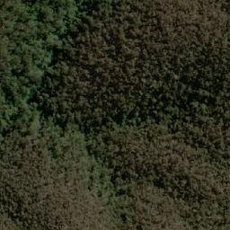 Satellite imagery of Golden Lily, AU