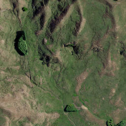 Satellite imagery of KOTUKU, NZ