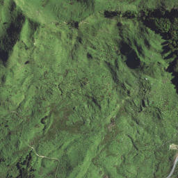 Satellite imagery of A NO 2, NZ
