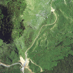 Satellite imagery of A NO 2, NZ