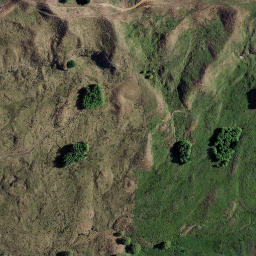 Satellite imagery of KOTUKU, NZ