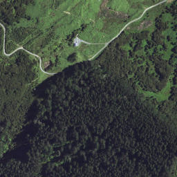 Satellite imagery of A NO 2, NZ