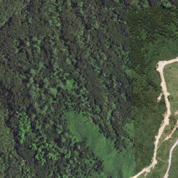 Satellite imagery of A NO 2, NZ