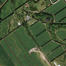Satellite imagery of 7031, NZ