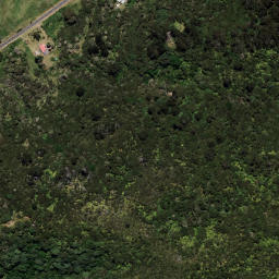 Satellite imagery of 7031, NZ