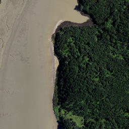 Satellite imagery of Motukokako Point, NZ
