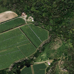 Satellite imagery of 7031, NZ