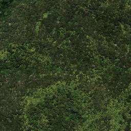 Satellite imagery of 7031, NZ
